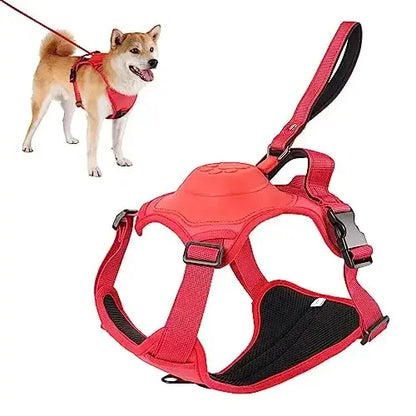 All-in-One Harness & Retractable Leash