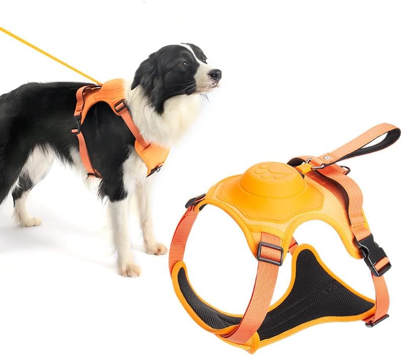 All in one harness and leash hotsell