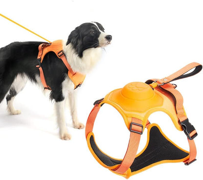 All-in-One Harness & Retractable Leash