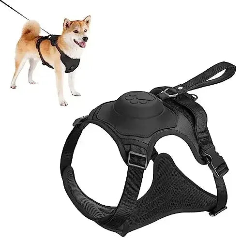 All-in-One Harness & Retractable Leash