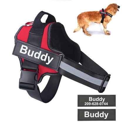 Personalized No Pull Dog Harness