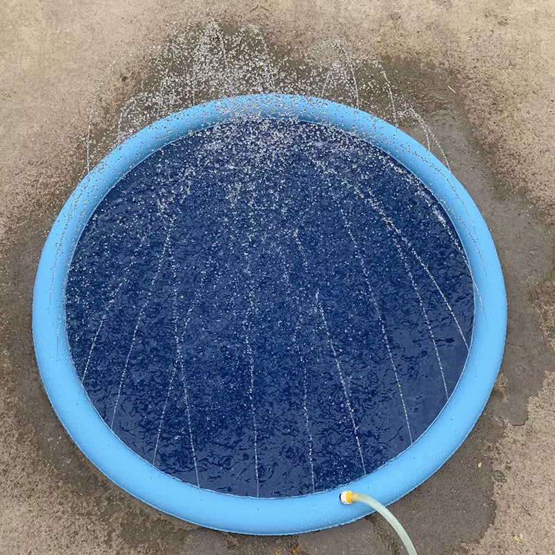 Dog Splash Pad