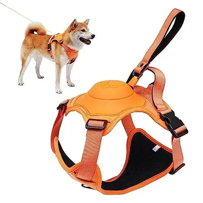 All-in-One Harness & Retractable Leash